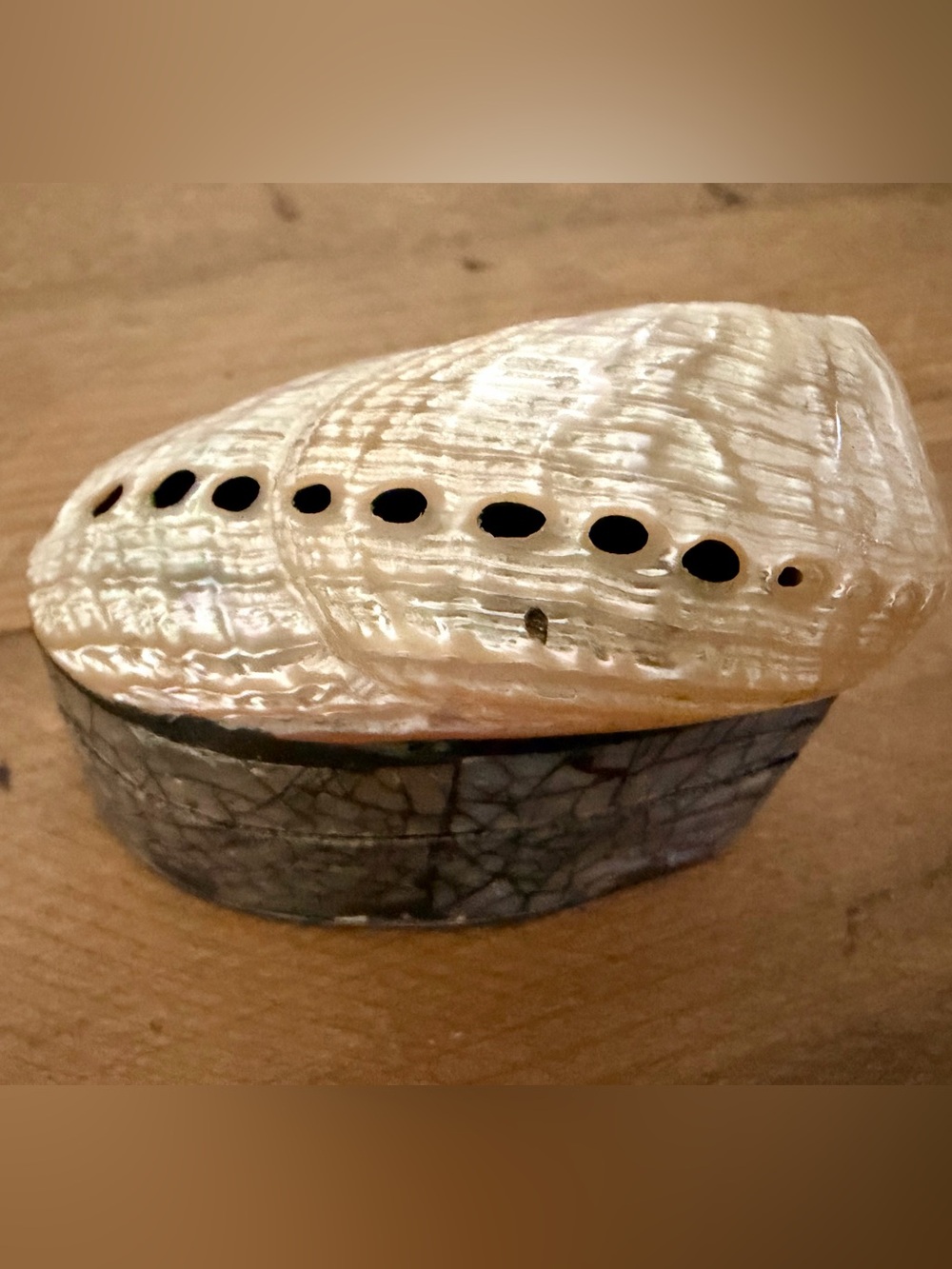 SARDA BALI ARTISAN POLISHED DONKEY EAR ABALONE SHELL MOSAIC TRINKET BOX